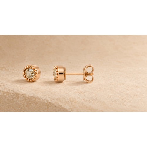 MUSETTE puces diamants - social