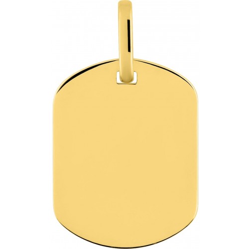 Plaque GI