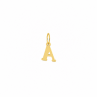 Pendentif initiale Baton