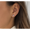 SOLOGRIFFES puces diamants