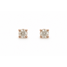 SOLOGRIFFES puces diamants