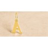 Pendentif initiale Baton - social