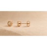 MUSETTE puces diamants - social